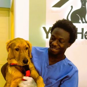 Cat Or Small, Medium, Large Or X-large Dog Basic Or Full Grooming PETS Shop Online at Special Price from Dubai Shopping City