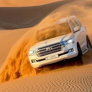 Dive Into Adventure: Vip Seating, 45-Min Dune Bashing & Falcon Photo MOTOR SPORTS Shop Online at Special Price from Dubai Shopping City