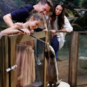 Double The Fun: Dubai Aquarium W Penguin Cove + Choice Of Attraction Men's Shop Online at Special Price from Dubai Shopping City
