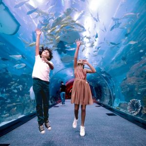 Entry For 1, 2 Or 4 Adults To World’s Largest Suspended Aquarium Men's Shop Online at Special Price from Dubai Shopping City