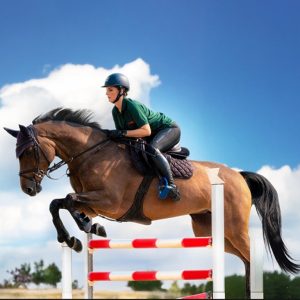 Equestrian Horse Ride at Al Forsan Recently Added Experiences Abu Dhabi Recently Added Experiences Shop Online at Special Price from Dubai Shopping City