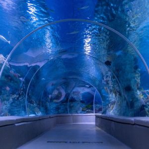 Istanbul Aquarium + Sky View + Sky Walk – Combo Recently Added Experiences Istanbul Recently Added Experiences Shop Online at Special Price from Dubai Shopping City