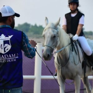 Ride Through Desert Beauty With Horseback Hacks & Arena Lessons Men's Shop Online at Special Price from Dubai Shopping City