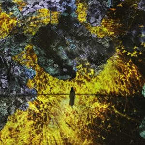 TeamLab Phenomena + Yas Waterworld – Combo Recently Added Experiences Abu Dhabi Recently Added Experiences Shop Online at Special Price from Dubai Shopping City