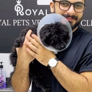 Dog Cat Medical Check Up W Optional Deworming Or Annual Vaccination PETS Shop Online at Special Price from Dubai Shopping City