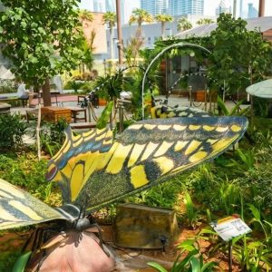 The Green Planet Dubai Tickets – Indoor Rainforest Experience Men's Shop Online at Special Price from Dubai Shopping City