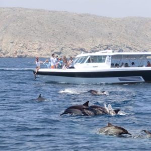Bandar Rowdha Marina Dolphin Tour Recently Added Experiences Muscat Recently Added Experiences Shop Online at Special Price from Dubai Shopping City