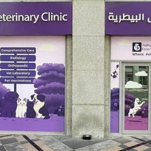 Basic Or Full Grooming For Small Or Medium Dog, Cat Or Large Dog PETS Shop Online at Special Price from Dubai Shopping City 2
