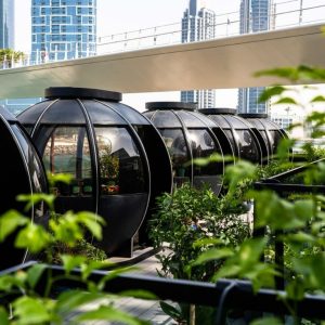 Exclusive 2-Course Festive Brunch – The Pods Top-Rated Attractions Dubai Top-Rated Attractions Shop Online at Special Price from Dubai Shopping City 2