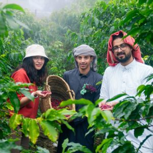 From Arabica to Arabian – Coffee Experience at a local farm Recently Added Experiences Al Bahah Recently Added Experiences Shop Online at Special Price from Dubai Shopping City