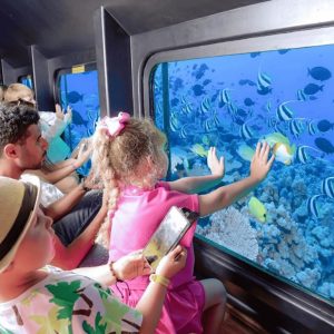 From Safaga: Royal Seascope Submarine with Snorkeling Recently Added Experiences Hurghada Recently Added Experiences Shop Online at Special Price from Dubai Shopping City