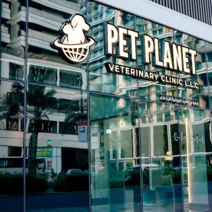Full Grooming For Cat Or Small Dog, Medium Or Large Dog PETS Shop Online at Special Price from Dubai Shopping City