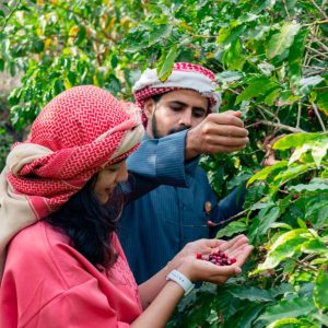 Hike with a local coffee farmer Recently Added Experiences Al Bahah Recently Added Experiences Shop Online at Special Price from Dubai Shopping City