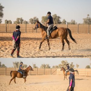 Horse Riding Training Course One Session Sports Events Sharjah Sports Events Shop Online at Special Price from Dubai Shopping City
