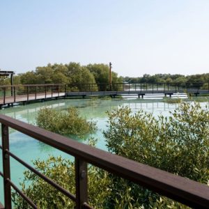 Jubail Mangrove Park – Boardwalk Experience Recently Added Experiences Abu Dhabi Recently Added Experiences Shop Online at Special Price from Dubai Shopping City 2