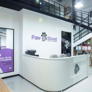 Professional Dog & Cat Grooming For All Sizes PETS Shop Online at Special Price from Dubai Shopping City