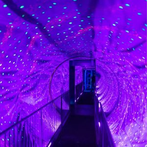 Ripley’s Believe It or Not! Amsterdam: Entry Ticket Recently Added Experiences Amsterdam Recently Added Experiences Shop Online at Special Price from Dubai Shopping City