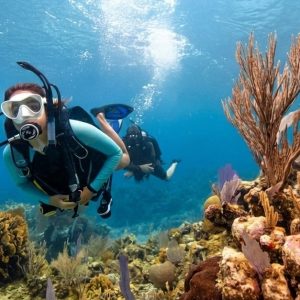 Shore Dive To Snoopy Islands Thriving Reef In Fujairah Marine Park WATER SPORTS Shop Online at Special Price from Dubai Shopping City