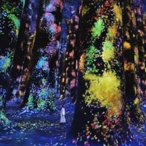 TeamLab Phenomena + Qasr Al Watan – Combo Recently Added Experiences Abu Dhabi Recently Added Experiences Shop Online at Special Price from Dubai Shopping City