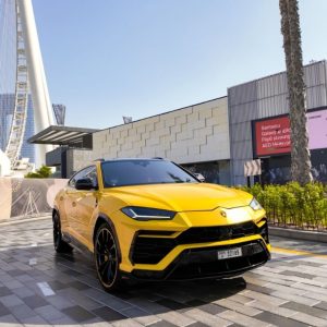 Ultra – Luxury City Tour with Private Chauffeur Recently Added Experiences Dubai Recently Added Experiences Shop Online at Special Price from Dubai Shopping City 2