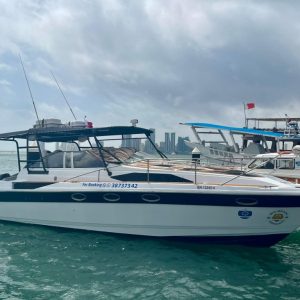 VIP Yacht (City Tour Fun) Top-Rated Attractions Manama Top-Rated Attractions Shop Online at Special Price from Dubai Shopping City