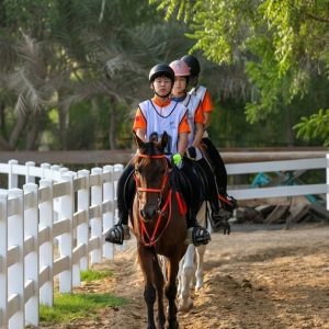 45-min Horse Riding Lessons For All Levels: Build Confidence & Skill LEISURE SPORTS Shop Online at Special Price from Dubai Shopping City