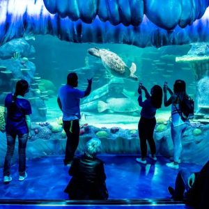 Aquarium de Paris: Entry Ticket Indoor Attractions Paris Indoor Attractions Shop Online at Special Price from Dubai Shopping City