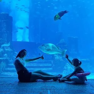 Explore The Lost World Aquarium – Entry For Kids, Adults & Families PARKS Shop Online at Special Price from Dubai Shopping City