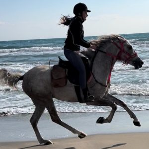 Horse Riding at Shahaniya –  Qool Qatar Must-see attractions Doha Must-see attractions Shop Online at Special Price from Dubai Shopping City