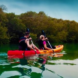 Mangroves Kayaking at Purple Island – Qool Qatar Must-see attractions Doha Must-see attractions Shop Online at Special Price from Dubai Shopping City