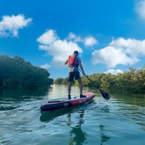 Mangroves paddleboarding at Purple Island – Qool Qatar Must-see attractions Doha Must-see attractions Shop Online at Special Price from Dubai Shopping City