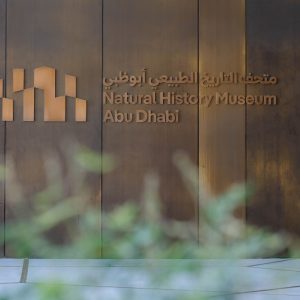 Natural History Museum Abu Dhabi (anyone under 18 years go free) Museums Abu Dhabi Museums Shop Online at Special Price from Dubai Shopping City