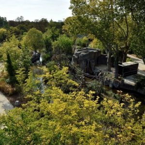 Paris Zoological Park: Entry Ticket Experiences Paris Experiences Shop Online at Special Price from Dubai Shopping City 2