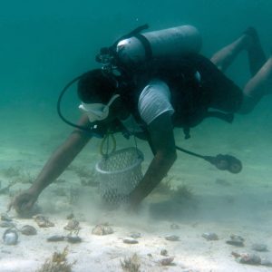 Pearl Diving Water Sports Manama Travel, Activities & Events Shop Online at Special Price from Dubai Shopping City