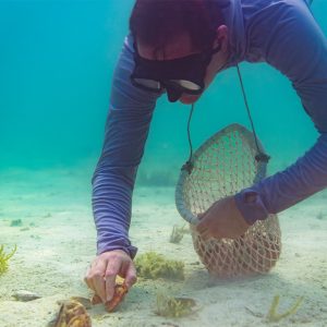 Pearl Snorkeling Water Sports Manama Travel, Activities & Events Shop Online at Special Price from Dubai Shopping City