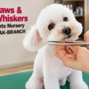 Pet Full Grooming Packages For Cats And Dogs PETS Shop Online at Special Price from Dubai Shopping City