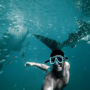 Private group Boating Experience with Dolphins Watching & Snorkeling Sightseeing and Tours Muscat Sightseeing and Tours Shop Online at Special Price from Dubai Shopping City