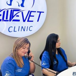 Professional Pet Grooming For Cats & Dogs (small, Medium, Large) PETS Shop Online at Special Price from Dubai Shopping City