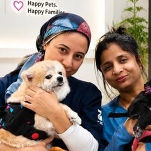 Professional Pet Styling And Comprehensive Hygiene Sessions PETS Shop Online at Special Price from Dubai Shopping City