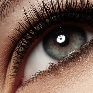 Up To 33% Off On At Nail Blitz Dmcc FACIAL TREATMENTS Shop Online at Special Price from Dubai Shopping City